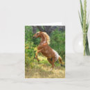 Search for rearing cards Equine