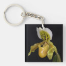 Search for hybrids key rings Orchids