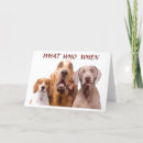 Search for weimaraner birthday cards Friend