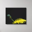 Search for dandelion posters Fun