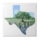 Search for texas wildflower tiles Wildflowers