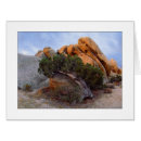 Search for juniper cards Winter