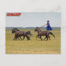 Search for hungary postcards Hungarian