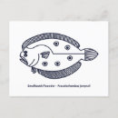 Search for fun fish Sea