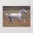 Search for horse run postcards Running