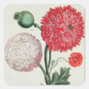 Search for etching stickers Botanical