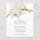 Search for orchid flyers In loving memory