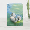Search for water babies cards Nature