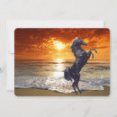 Search for stallions cards Black stallion