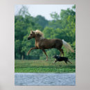 Search for dog walker posters Animal