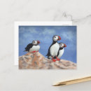 Search for seabirds postcards Seaside