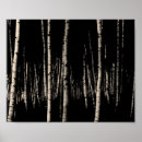 Search for black and white forest posters Birch