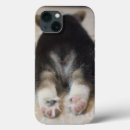 Search for corgi puppy iphone cases Queen elizabeth's