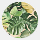 Search for tropical leaf stickers Coastal
