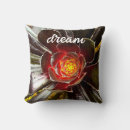 Search for cactus cushions Cacti