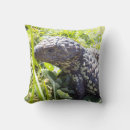 Search for lizard cushions Blue