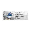 Search for blue jay labels Birds
