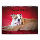Search for pet calendars Domestic
