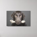Search for single looking posters No people