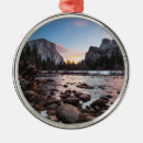Search for dome christmas tree decorations Nature