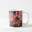 Search for dogwood mugs Blossoms