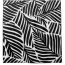 Search for monochrome shower curtains Abstract