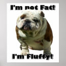 Search for bully posters Puppy