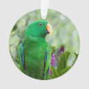 Search for green parrot christmas tree decorations Pet