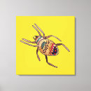Search for arachnids art Spider