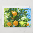 Search for orange blossom cards Florida