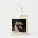 Search for puffin bags Birds
