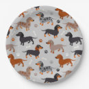 Search for dachshund paper plates Puppy