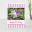 Search for white cat birthday cards Pretty