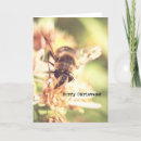 Search for bee merry christmas cards Honey