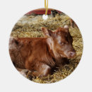 Search for cow christmas tree decorations Calf