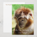 Search for primates invitations Animals