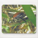 Search for beetle mousepads Insect