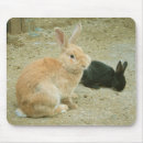 Search for rabbit mousepads Sweet