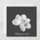 Search for butterfly stamp posters Nature