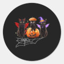 Search for vampire costume stickers Jack o lantern
