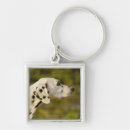 Search for spotted square key rings Dalmatian