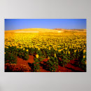 Search for andalucia posters Seville