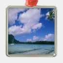 Search for tahiti christmas tree decorations Landscape