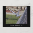 Search for beach scene cards Birds