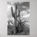 Search for b art Cloud