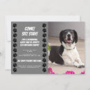 Search for doggy birthday invitations For pets
