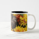 Search for yorkie poo mugs Animal