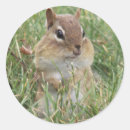 Search for cheeks stickers Cute