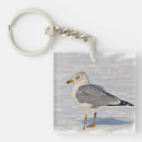 Search for ornithology key rings Nature