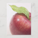 Search for red apple postcards Leaves